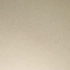 105 Champagne Metallic